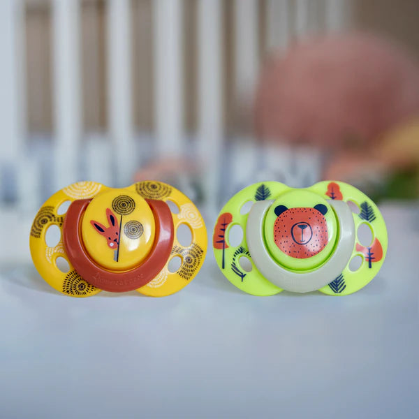 Tommee Tippee Fun Style Pacifiers 2-PK 6-18M