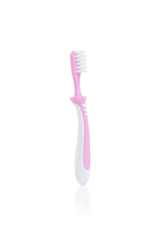 Pigeon Training Toothbrush Lesson 3 Pink